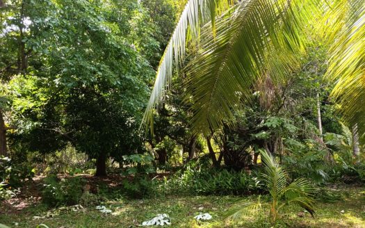 Beautiful 1,1ha (2.9 acre) titled lot walking distance to Beach
