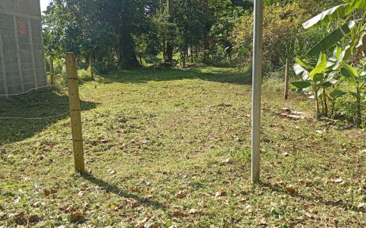 Cahuita - Talamanca For Sale 1117 | RE/MAX Costa Rica Real Estate