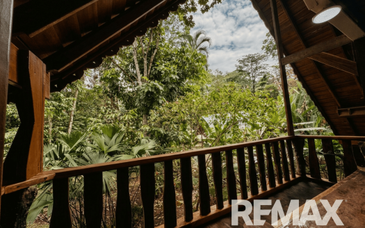 The Jungle Mansion – Playa Negra