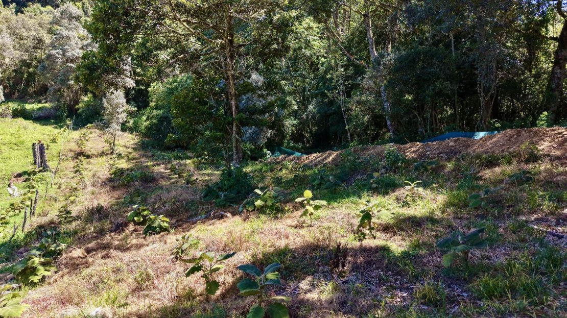 830 m² Lot for Sale in Alto Jaular | A Peaceful Nature Retreat with Excellent Airbnb Potential