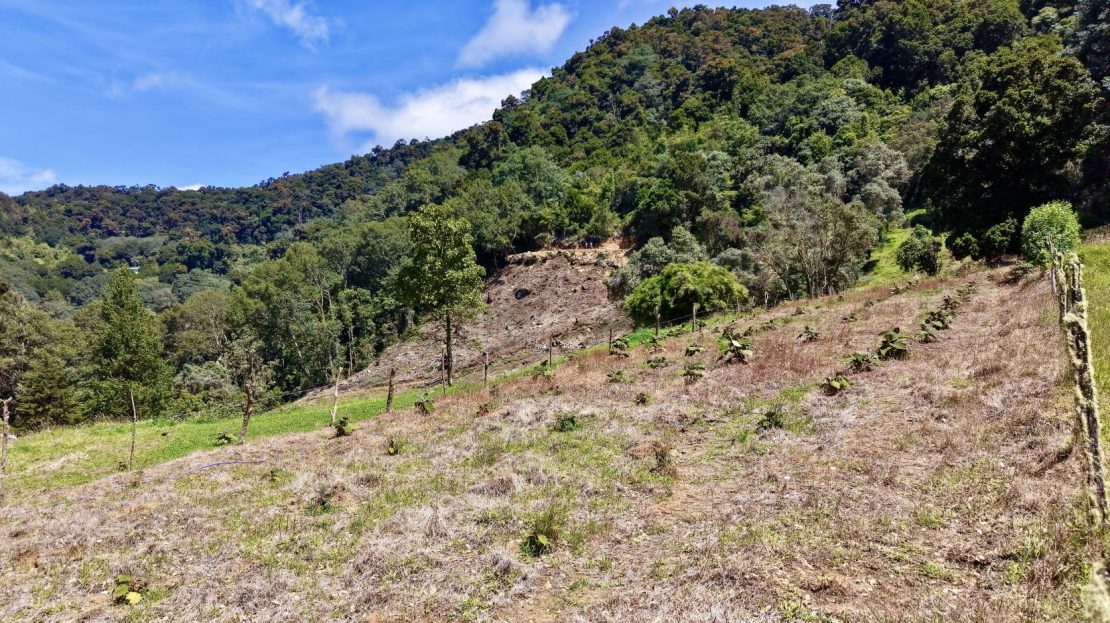 Costa Rica Real Estate
