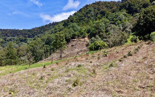 Flat 4,830 m² Lot for Sale in Alto Jaular | A Peaceful Nature Retreat with Excellent Airbnb Potential
