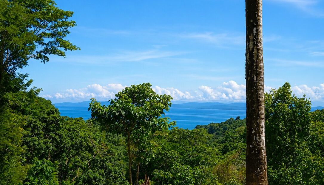 Golfito>Pavones Real Estate Listings 32206