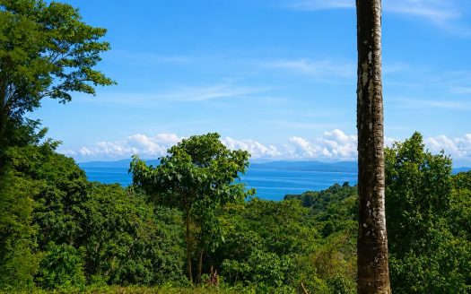 Golfito>Pavones Real Estate Listings 32206