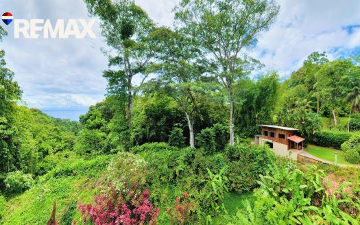 Golfito>Pavones Real Estate Listings 32233