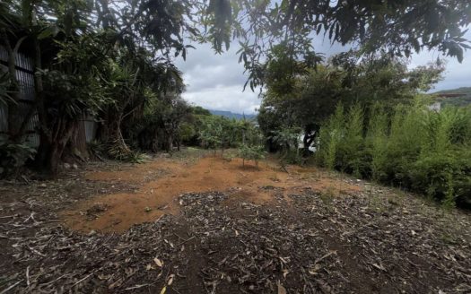 Desamparados