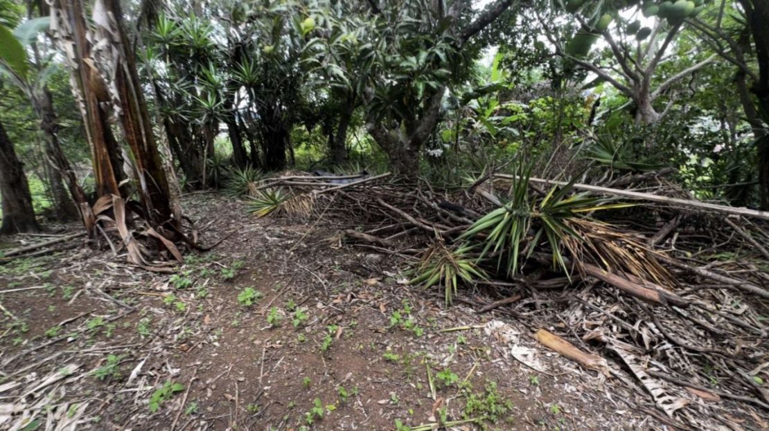 Land for Sale – Guatuso de Patarrá