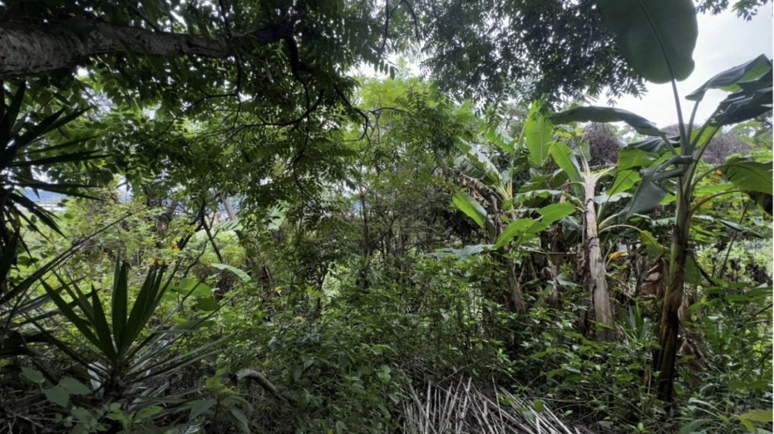 Costa Rica Real Estate