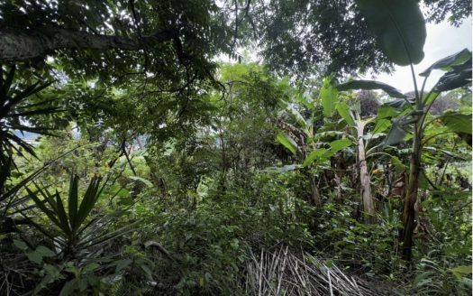 Land for Sale – Guatuso de Patarrá, Desamparados | 3,235 m² Investment Opportunity