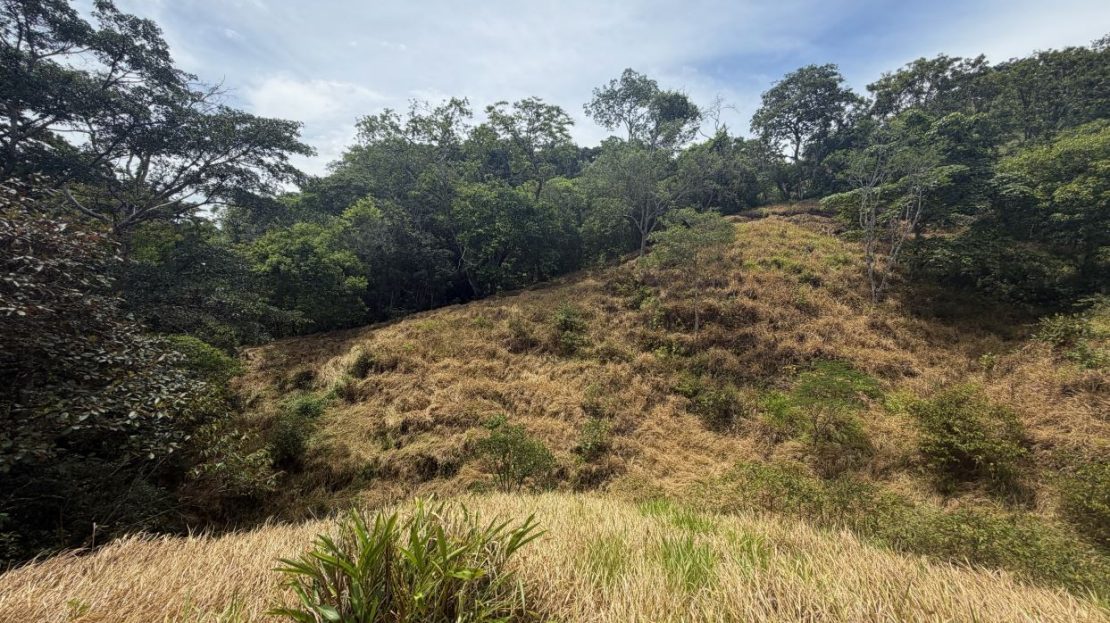 Costa Rica Real Estate