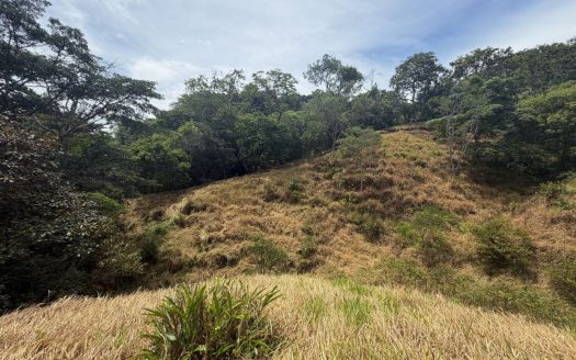 12,297m2 (3 acre) lot in the cooler climate of Barrio Jesus of Atenas
