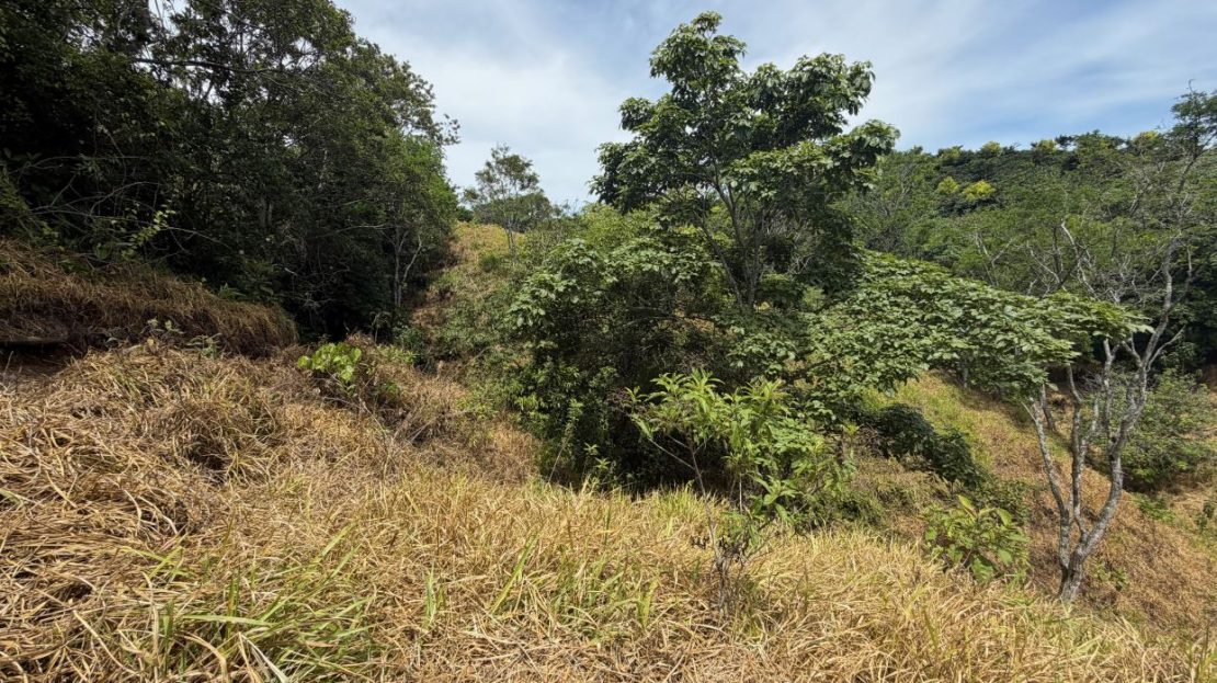 297m2 (3 acre) lot in the cooler climate of Barrio Jesus of Atenas