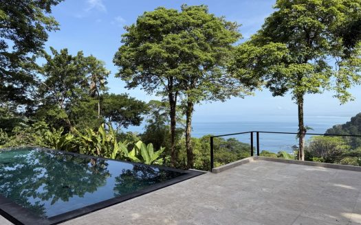Brand-New Ocean-View Studio with a Private Jungle Trail
