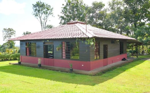 Sarapiqui