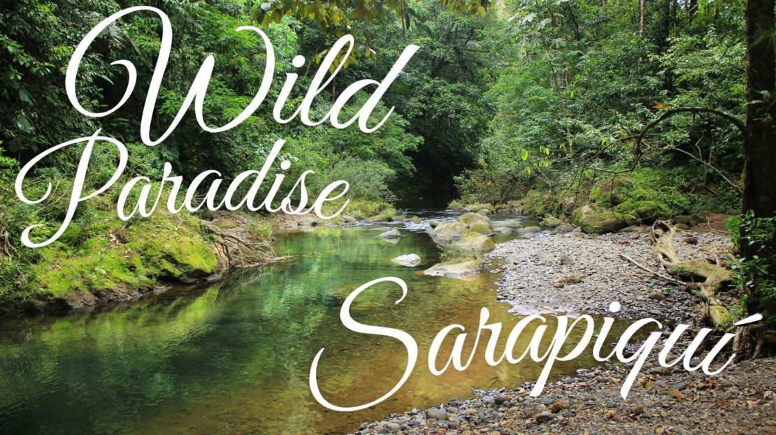 Sarapiqui