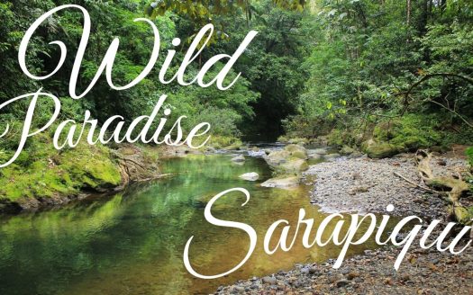 Sarapiqui