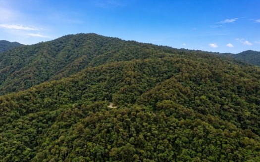 31 Hectares of Cloud Forest in Las Nubes de Páramo | A Unique Investment Opportunity in Costa Rica