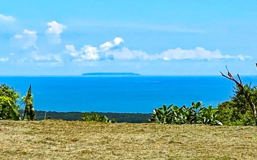 1.92-Acre Ocean View Lot in Gated Community Near Ojochal