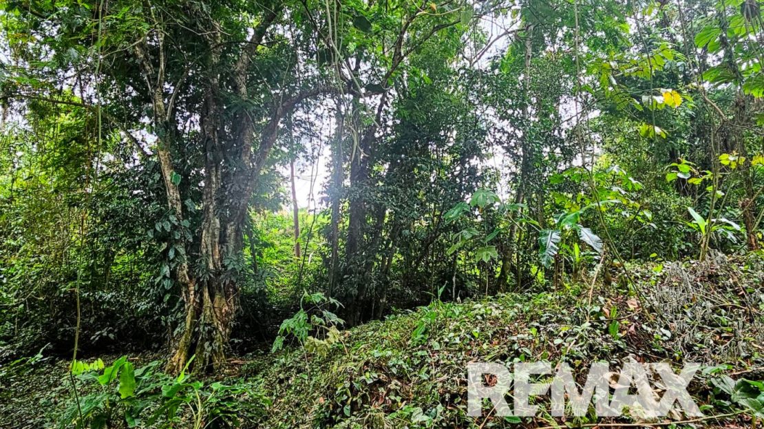 Costa Rica Real Estate