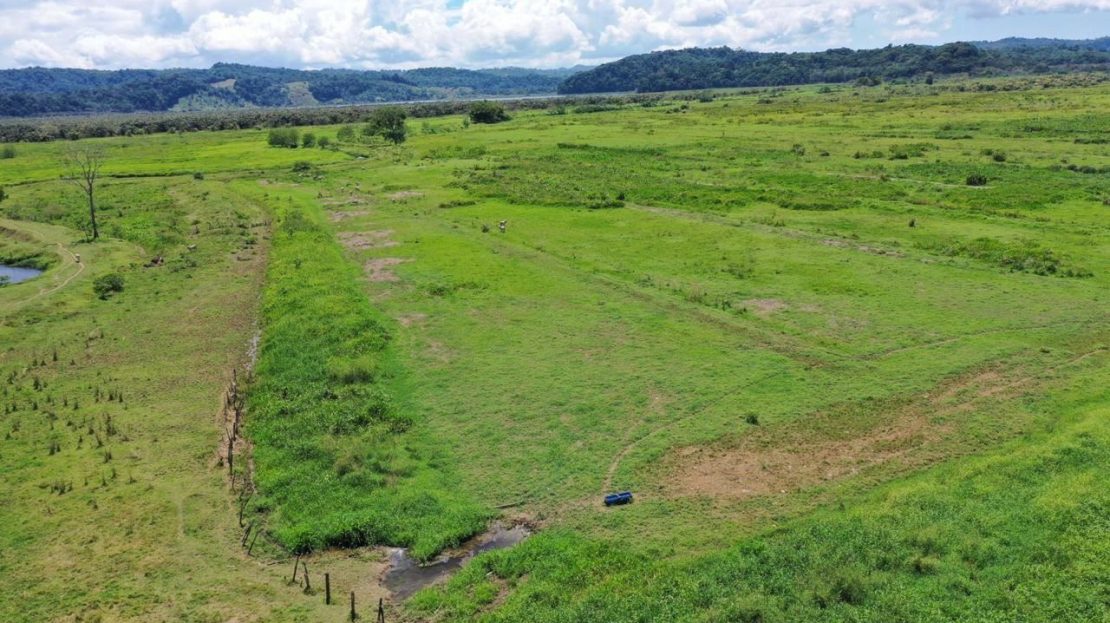133-Hectare Farm for Sale – Salamá