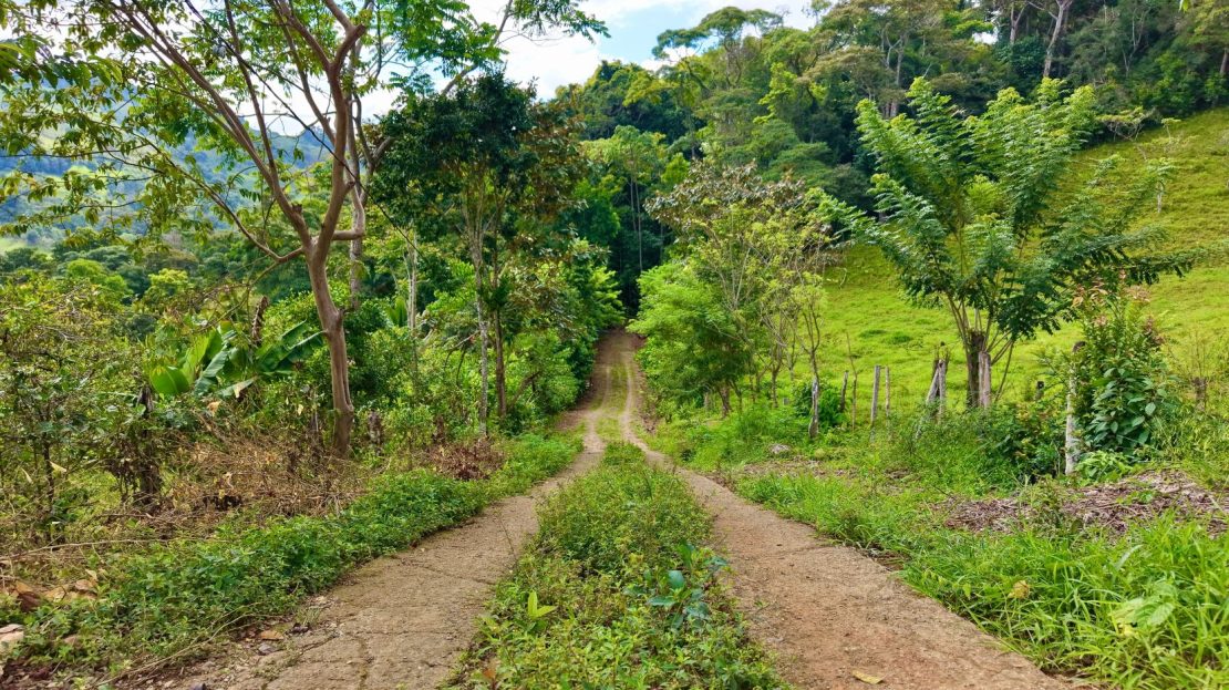 Costa Rica Real Estate