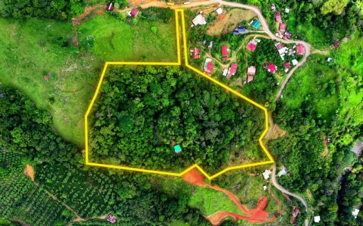 Perez Zeledon Jungle Oasis For Sale: Beautiful Private Paradise