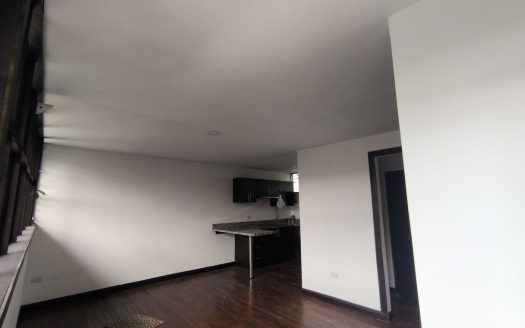 1-bedroom, 1-bathroom apartment/condo