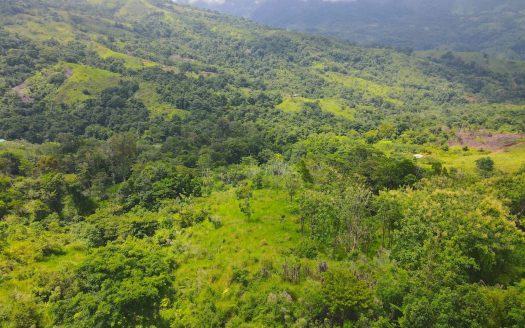 10.5-Acre Off-Grid Mountain Ridge Estate