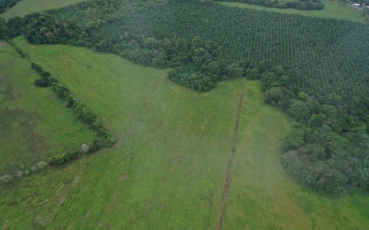 Lot for farm or crop development.