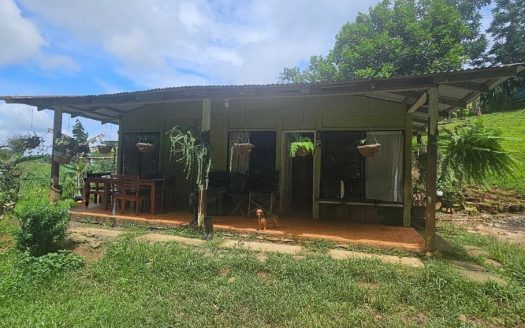 13,000 m² Finca with River, Tilapia Pond & Farm Infrastructure – Peñas Blancas