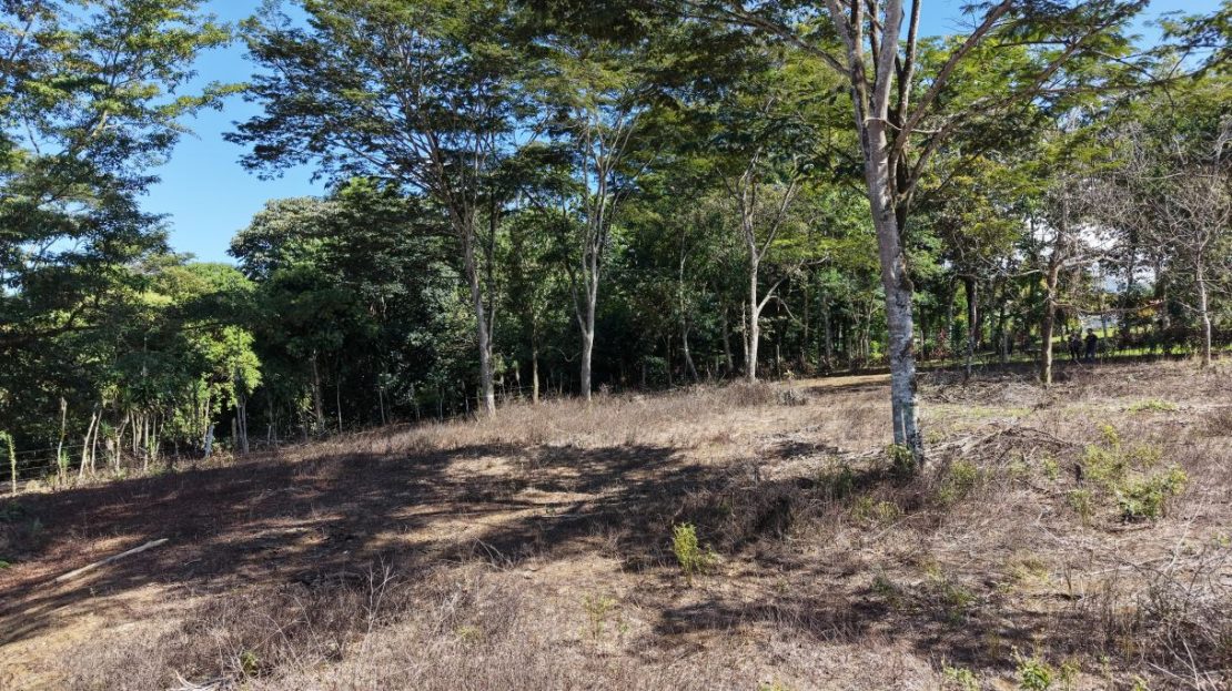 For Sale: 2317 m2 Flat and Strategic Location Lot in Montelimar
