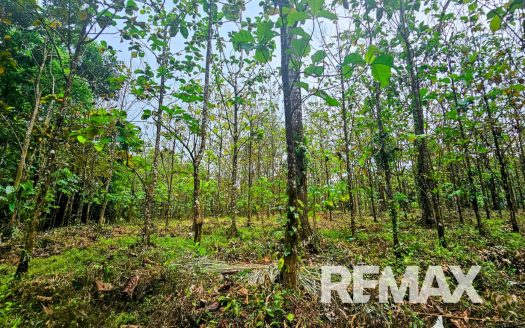 Beautiful Riverside Property in La Tigra – Great Value at ¢50,000,000
