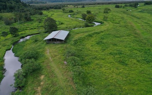 133-Hectare Farm for Sale – Salamá, Puntarenas, Costa Rica