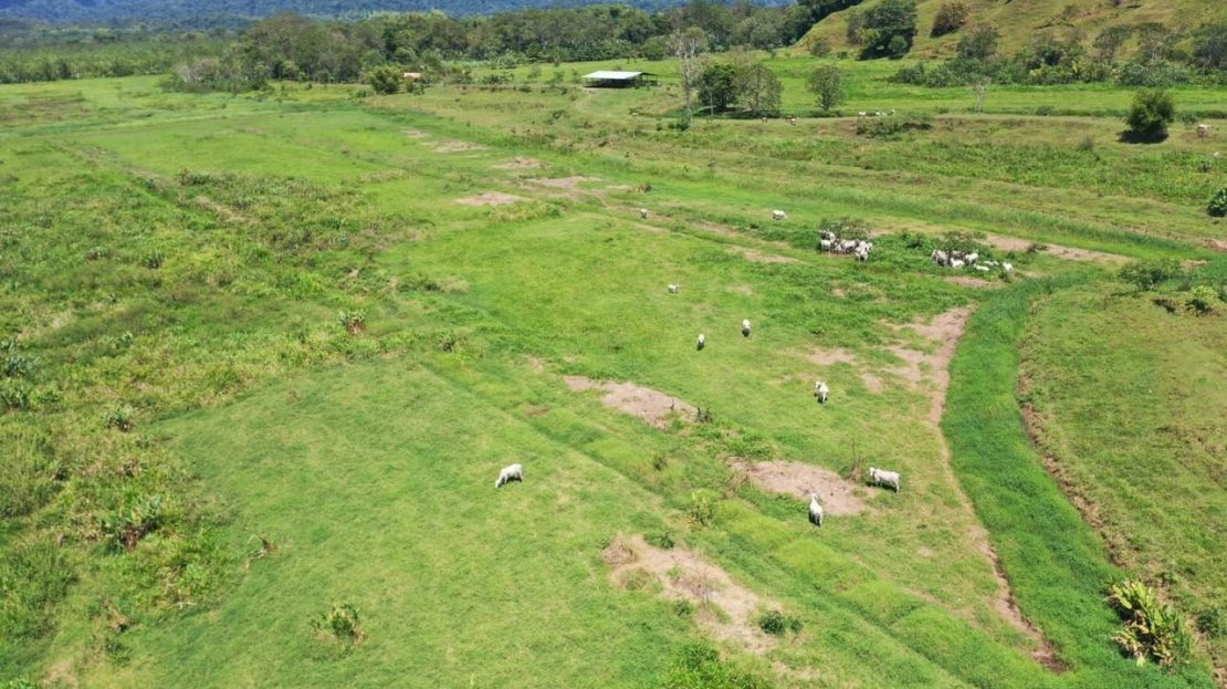 Costa Rica Real Estate