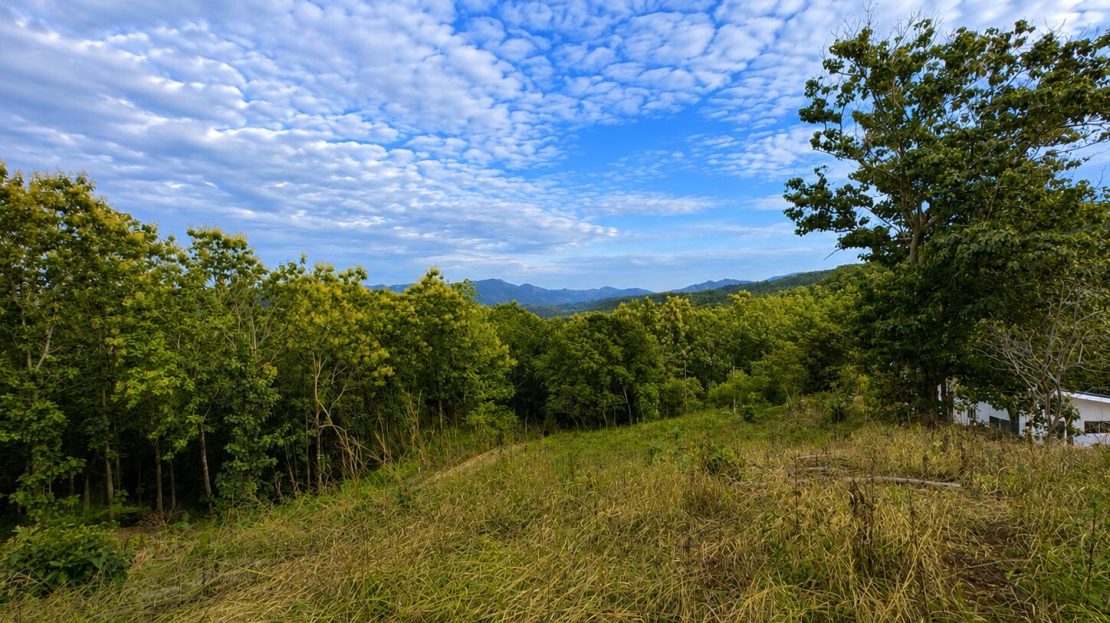 Buildable Land for Sale near Sámara