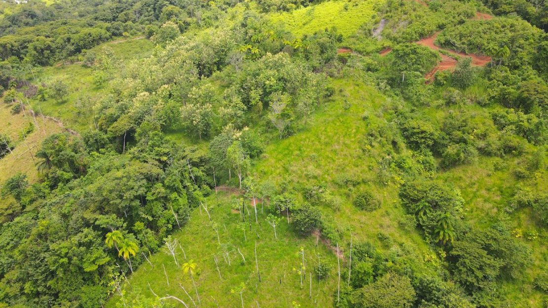 Costa Rica Real Estate