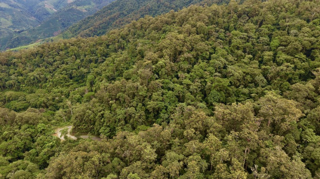 31 Hectares of Cloud Forest in Las Nubes de Páramo | A Unique Investment Opportunity in Costa Rica