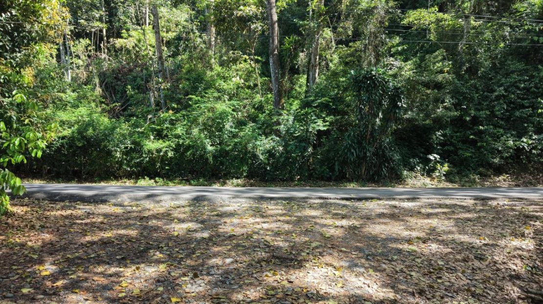 Land for Sale in San Francisco de Rivas: Prime Lot with Paved Frontage near Chirripó River
