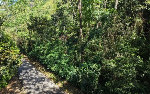 Land for Sale in San Francisco de Rivas: Prime Lot with Paved Frontage near Chirripó River