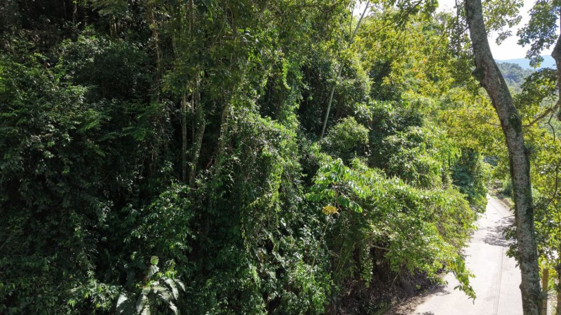 Costa Rica Real Estate