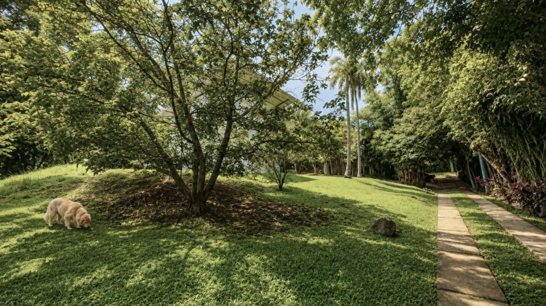 Costa Rica Real Estate