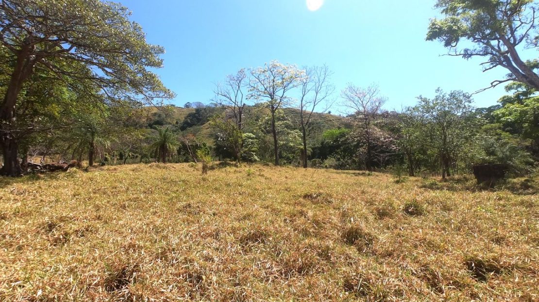 799 m²) Development Estate or Private Farm in Barroeta de Atenas
