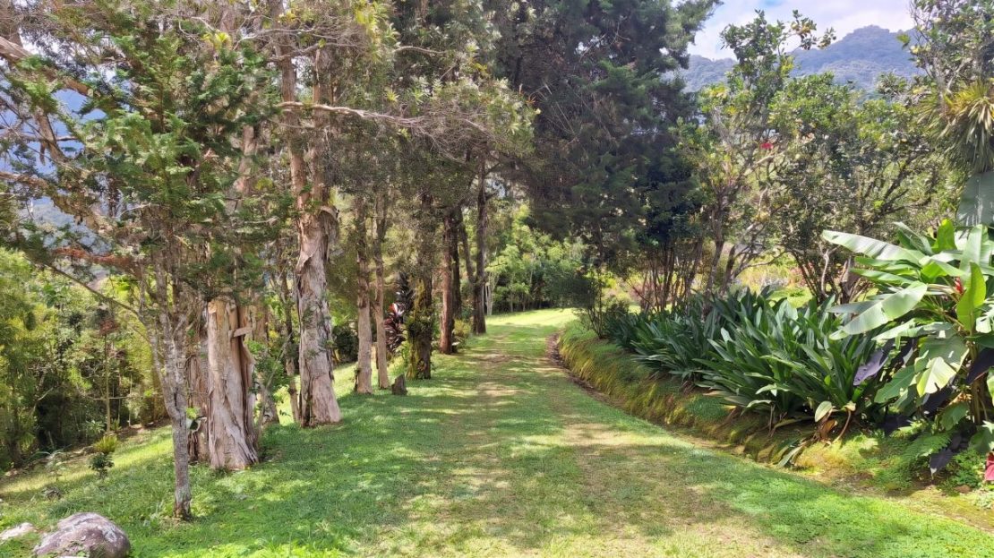 Sustainable End of the Road Mountain Estate for sale near Chirripó National Park