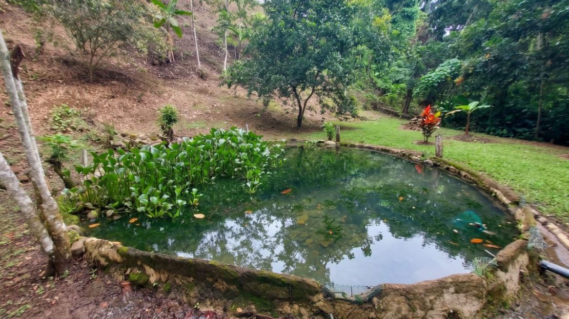 Costa Rica Real Estate