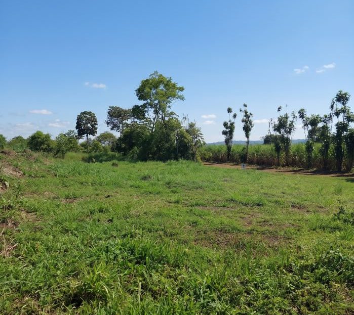 Costa Rica Real Estate