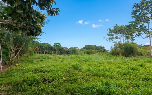 Lot for Sale in Las Mercedes de Cajón, Pérez Zeledón: 4,996 m² Flat Topography Lot in High Commercial Growth Area