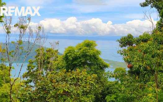 Ocean-View Hectare on Golfito Bay — Flat Building Plateau, Ready for a Stunning Split-Level Residence | $250,000