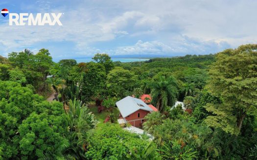 Ocean & Jungle Estate in Pavones, Costa Rica | 1.36 Acres
