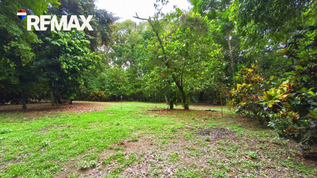 Golfito>Playa Zancudo Real Estate Listings 32384