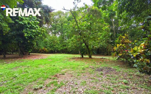 Titled Land in Zancudo, Costa Rica – 5,000m² – $67,500